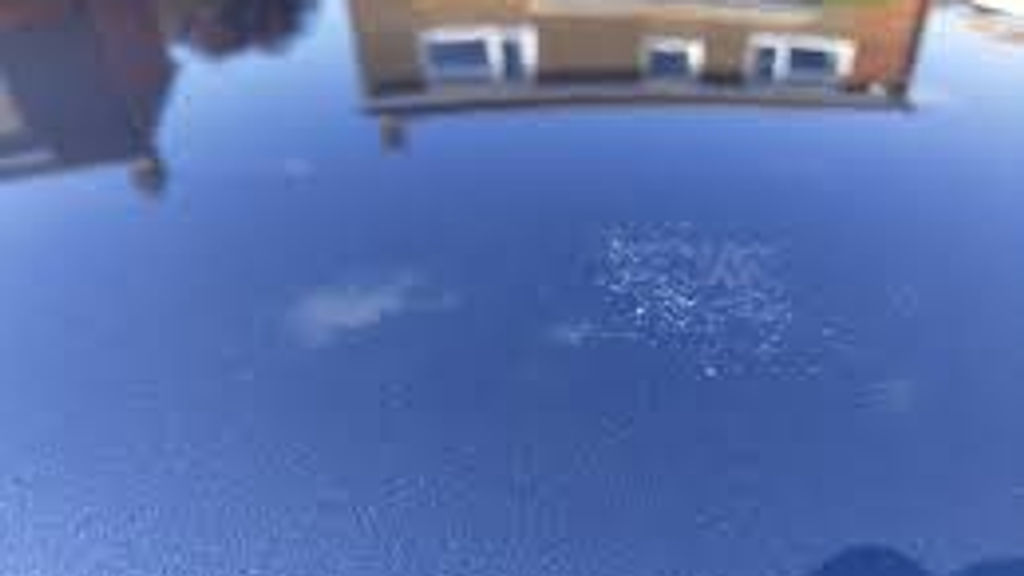 1. Pollen Is More Than Just Dust: It’s Acidic
